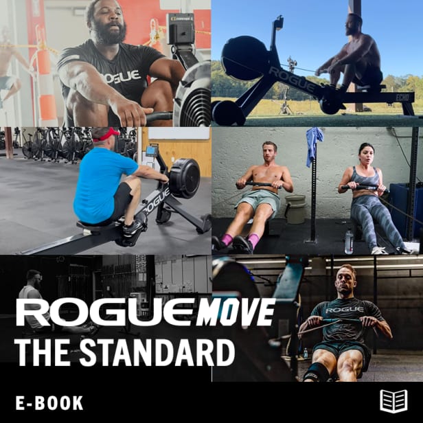 Rogue Echo Rower Rowing Machine Rogue Fitness Canada